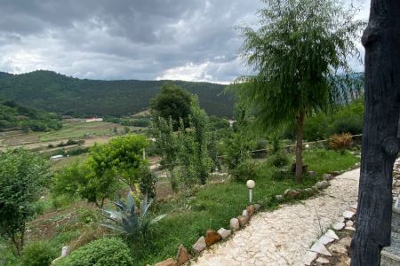 سوئیت حیاط دار در ساری - زلم