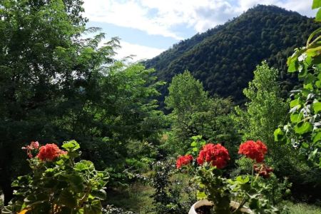 کلبه چوبی جنگلی در ماسال - طبق‌ سر