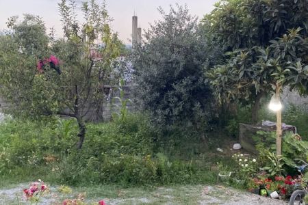 خانه ایوان دار با حیاط سرسبز در اسالم - همکف