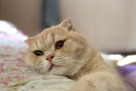 اقامتگاه آموزشی - لطفا رزرو نکنید!