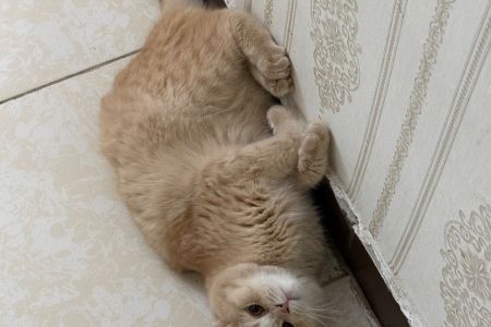 اقامتگاه آموزشی - لطفا رزرو نکنید!