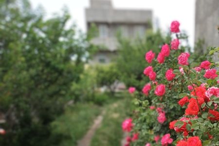 Rent a two-story villa in Meshginshahr - Aghbolagh