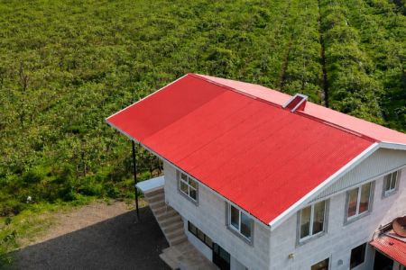 House with a balcony and kiwi garden view in Parehsar - 2nd floor