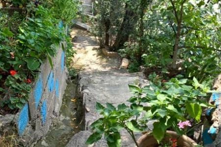 خانه در دل جنگل های رودبار - کلشتر