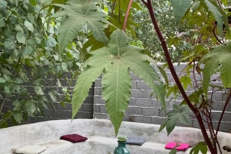کلبه سوئیسی در رودبنه - اکبر آباد