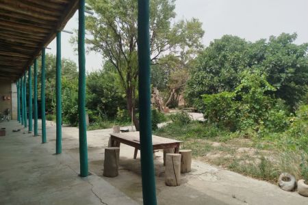 بومگردی در نوخندان - اتاق تیوان
