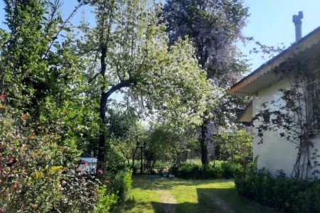 خانه ویلایی با حیاط سرسبز در سنگر - فشتام