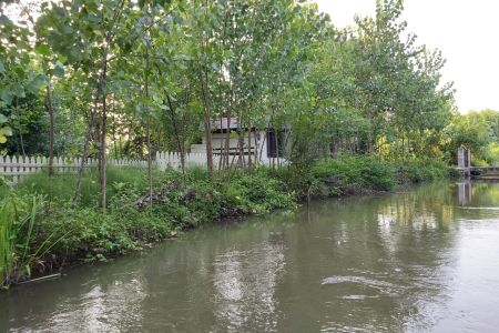 اجاره خانه ویلایی در زیباکنار - سرخشکی