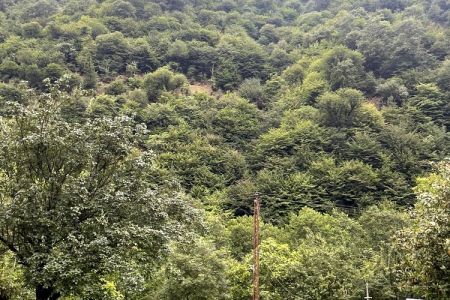 خانه روستایی در ماسال - شالماکوه