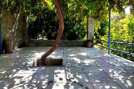 خانه در سی سخت - کل کل عباس آباد - همکف