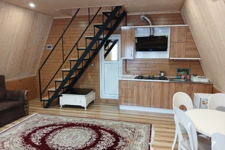 کلبه سوئیسی در اسالم - علی سرا