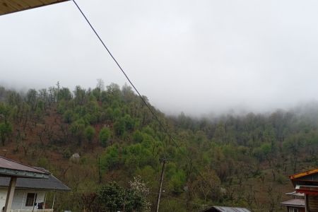 خانه ویلایی در ماسال - توت نسا