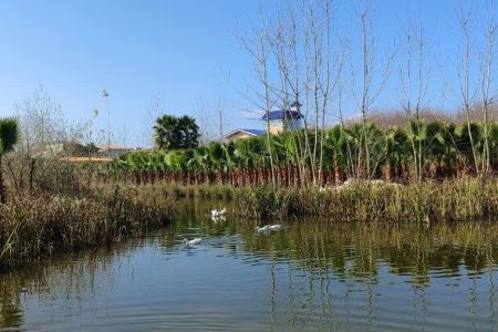باغ ویلا به همراه برکه فصلی در رودسر - همکف