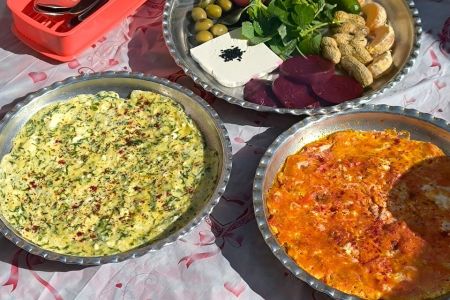 حجز جولة بيئية في اصفهان - شاهنشين