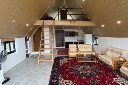کلبه جنگلی در نور - اسپی او