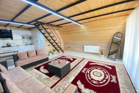 کلبه سوئیسی در شاندرمن