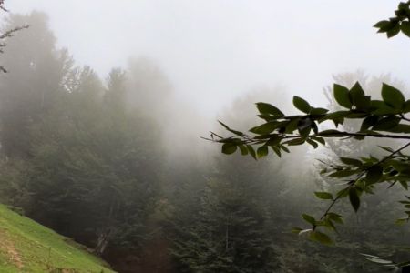 کلبه چوبی دوبلکس در اولسبلنگاه - تلارگاه
