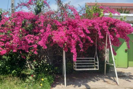 خانه ویلایی در کوچصفهان - لولمان