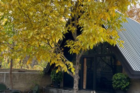 کلبه سوئیسی در ساوجبلاغ - باغبان کلا