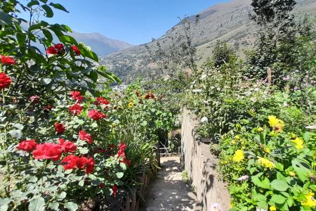 خانه روبه جنگل در مرزن آباد - فشکور - همکف
