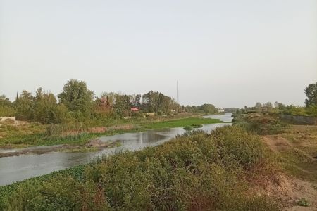 کلبه چوبی روبه آبگیر در چمخاله