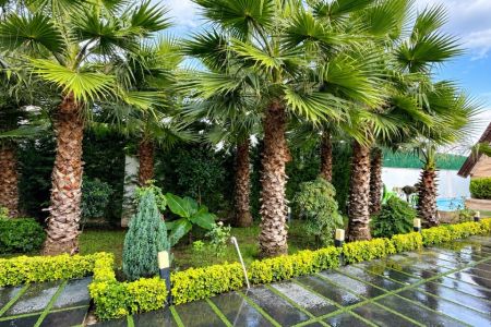 کلبه سوئیسی استخردار در سرخرود - حاجی کلا