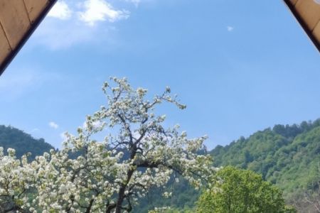کلبه سوئیسی با تراس دلباز در ماسال - میله سرا