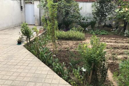 سوئیت در گرجی محله ساری - همکف