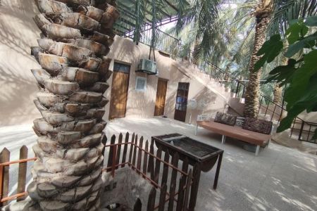 بوم گردی در بم - باغدشت - نخل