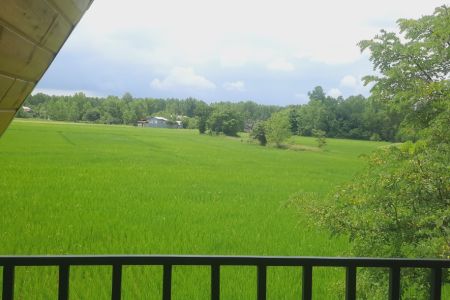 کلبه سوئیسی در خمام - مرزدشت