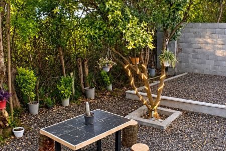 کلبه سوئیسی در نور - سلیاکتی