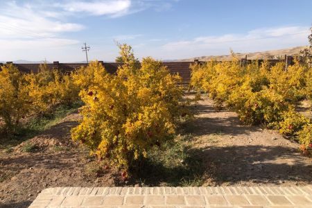 بومگردی در باغستان علیا فردوس - بهاربانو