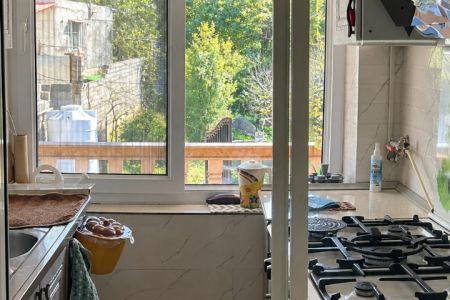 اجاره خانه ویلایی در ساری - سرکت