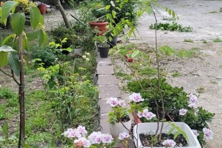 خانه ویلایی در ابتدای جاده جواهرده رامسر