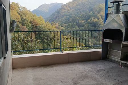 سوئیت روبه جنگل در مینودشت - پلنگر