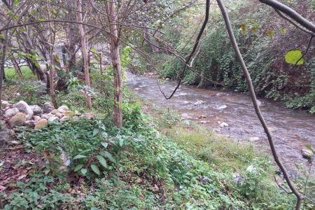 Riverside cottage in Chamestan - Lavij Road