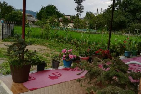 ویلا با نمای چوب در جاده اسالم - گیجاو