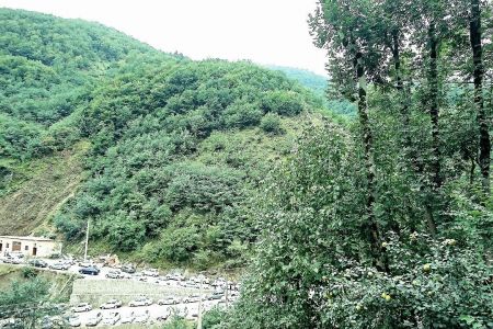 سوئیت با چشم انداز جنگل در ماسوله - ط دوم