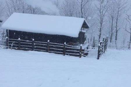 کلبه چوبی در اولسبلنگاه