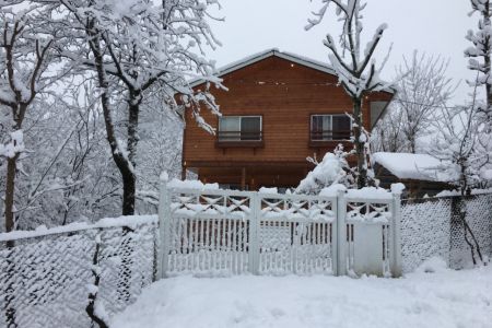 کلبه چوبی جنگلی در ماسال - همکف