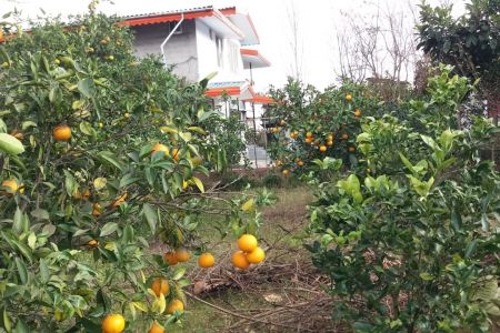 خانه مبله در لپاسرک رامسر - همکف