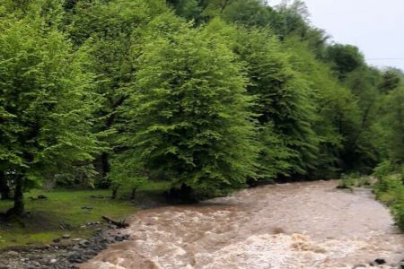 Reserve a rural cottage next to the rice fields