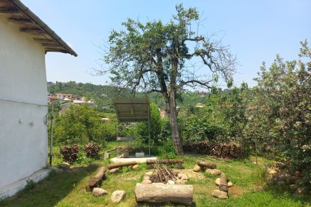 خانه روستایی کنار باغ کیوی - سلیم آباد تنکابن