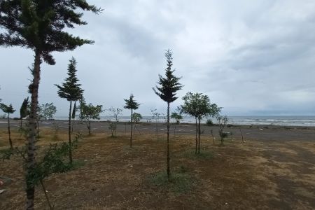 اجاره سوئیت ساحلی در رضوانشهر - VIP