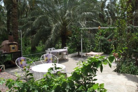 بوم گردی در بم - باغدشت - نخل