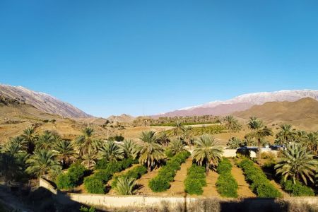 بوم گردی در جهرم - بادنجان - اتاق ۱۵ متری